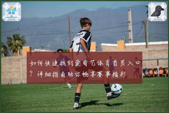 如何快速找到爱奇艺体育首页入口？详细指南助你畅享赛事精彩