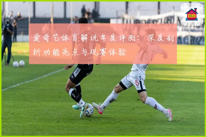 爱奇艺体育解说年度评测：深度剖析功能亮点与观赛体验